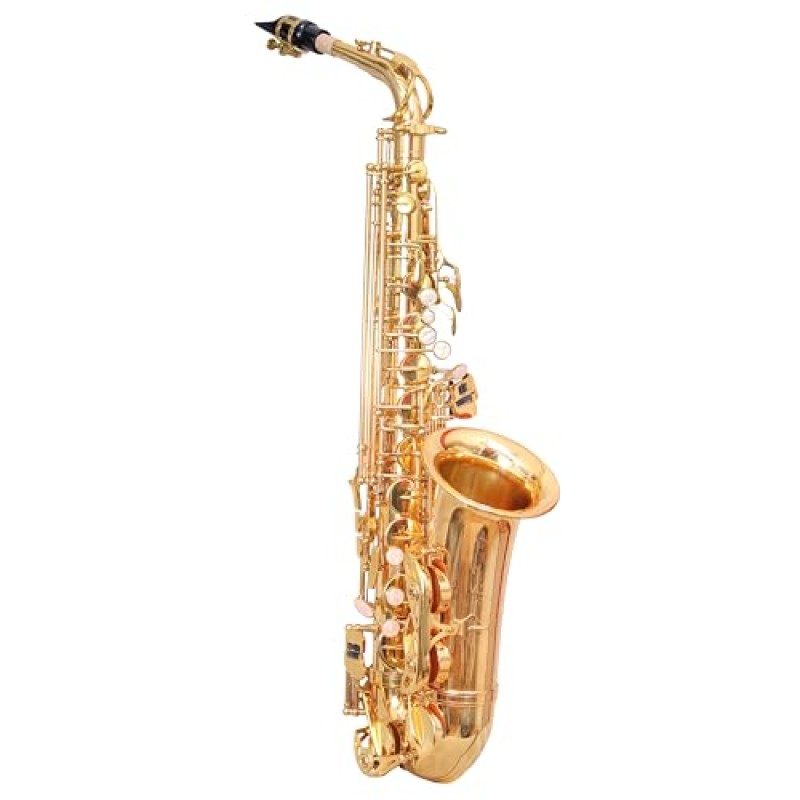 WAXWING AS100 dark gold lacquer Eb alto saxophone professional with hard case