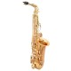 WAXWING AS100 dark gold lacquer Eb alto saxophone professional with hard case