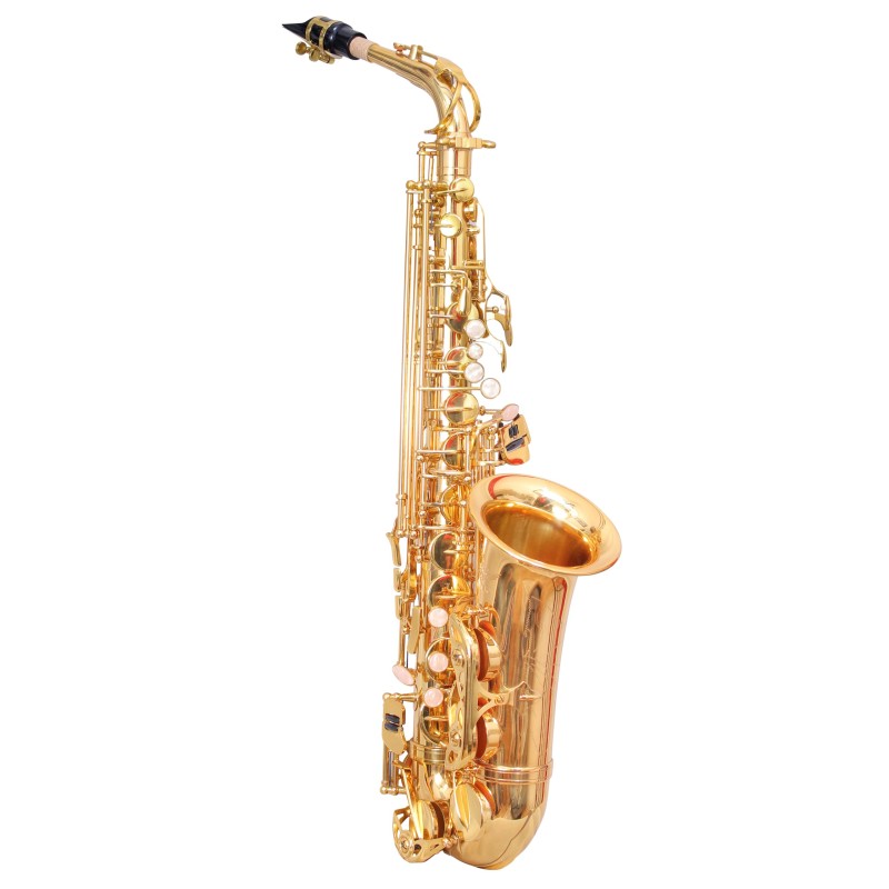 WAXWING AS100 dark gold lacquer Eb alto saxophone professional with hard case
