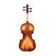 Waxwing professional Violin 4/4 with Bow and Carrying Case, Natural Wood glossy Finish Waxwing professional Violin 4/4 with Bow and Carrying Case, Natural Wood glossy Finish