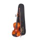 Waxwing 4/4 Full Size Violin with Bow and Carrying Case, Natural Wood glossy Finish Waxwing 4/4 Full Size Violin with Bow and Carrying Case, Natural Wood glossy Finish